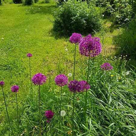 Pilegrimsherberge Innomhaug Bed & Breakfast Jessheim